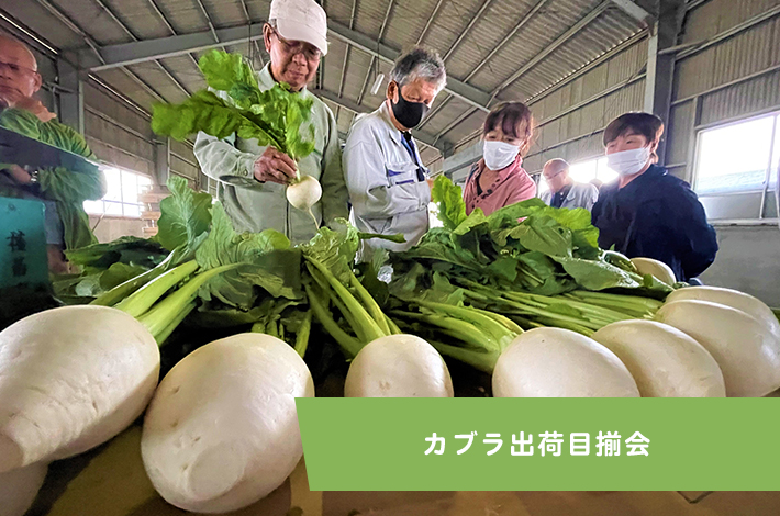 カブラ出荷目揃会