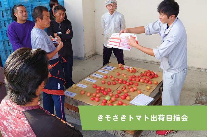 きそさきトマト出荷目揃会