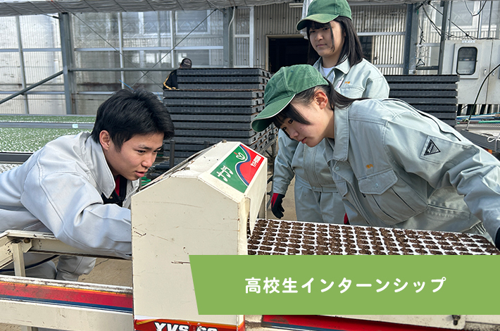 高校生インターンシップ