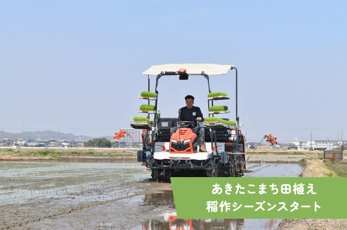 あきたこまち田植え　稲作シーズンスタート