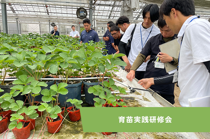 育苗実践研修会
