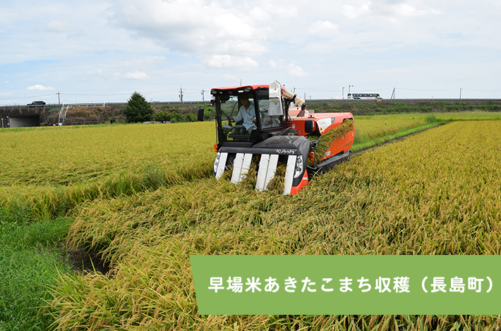 早場米あきたこまち収穫（長島町）