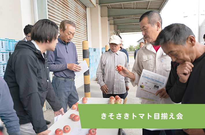 きそさきトマト目揃え会