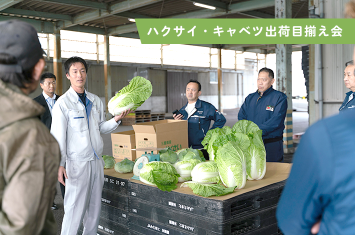 ハクサイ・キャベツ出荷目揃え会