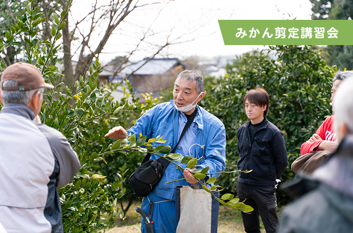 みかん剪定講習会